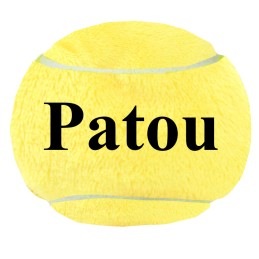 Balle de tennis nettoyeur d'écran