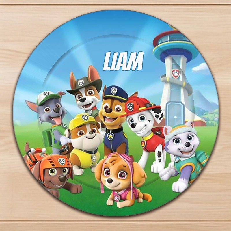 Assiette plastique enfant Pat Patrouille