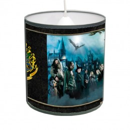 lustre Harry Potter